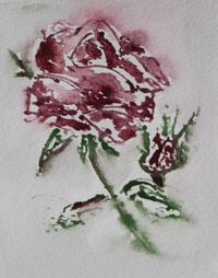 Rose 2017 (Postkarte)